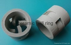 ceramic  pall ring pakcing