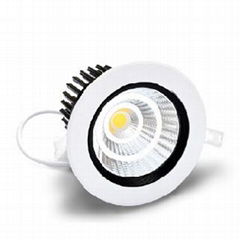 COB LED Down Light (Core)