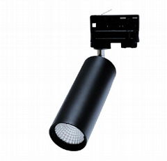 LATTICE R60 LED Track Light