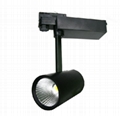 LATTICE R80 LED Track Light