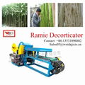 Bangladesh Banana Decorticator Machine