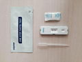 HBsAg Whole Blood rapid test kit