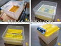 Hot sale automatic 96 eggs mini egg incubator price 2