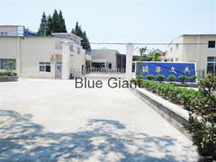 Blue Giant(Shanghai) Inc.