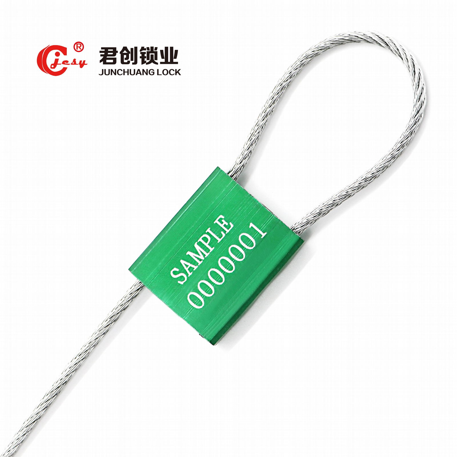 security truck cable seal