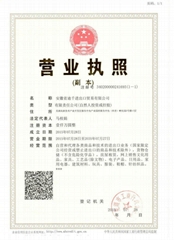 ANHUI DIQIAN IMP&EXP TRADING CO., LTD ANHUI DIQIAN IMP&EXP TRADING CO., LTD