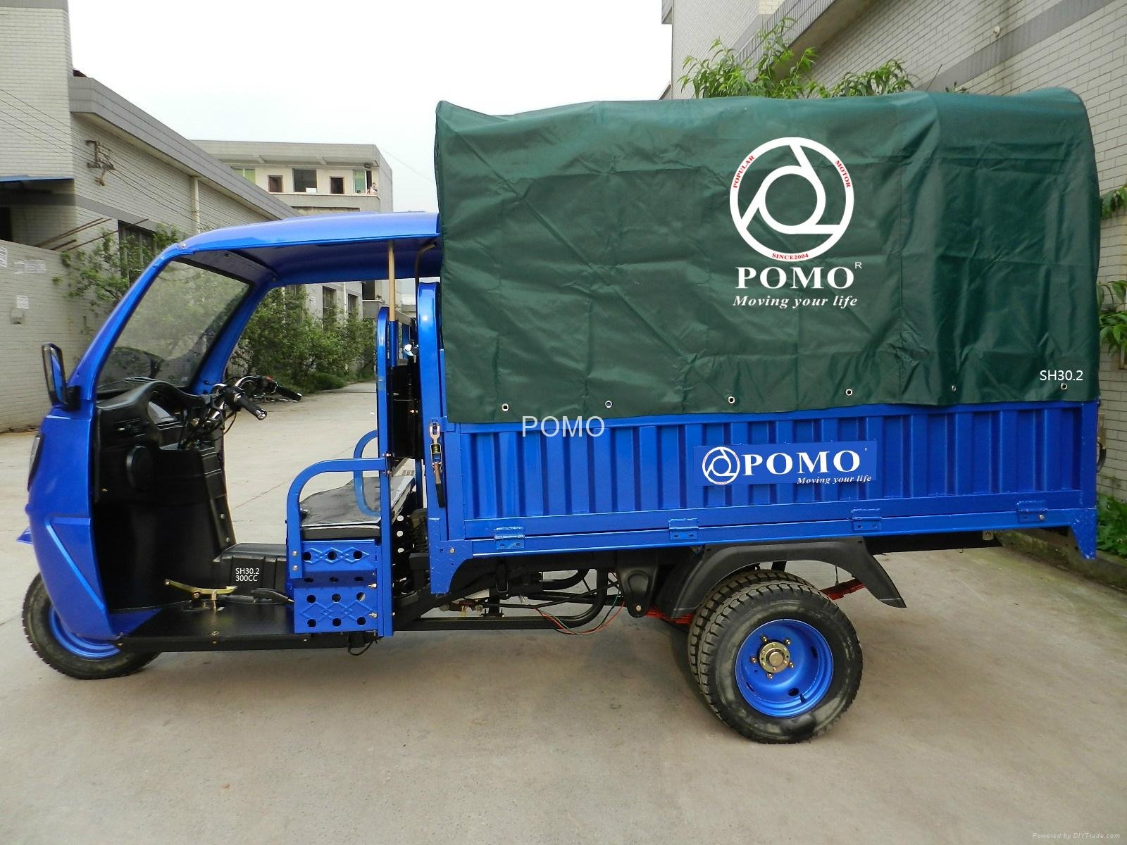 China Manufacturer of 300cc Heavy Load Water Cooling 5 Wheel Tricycle 2