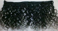 Virgin Remy Indian Hair