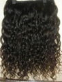 Curly Natural Indian Hair 2