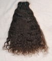 Curly Natural Indian Hair 4