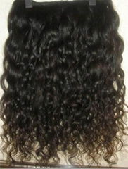 Deep Wavy Indian Hair