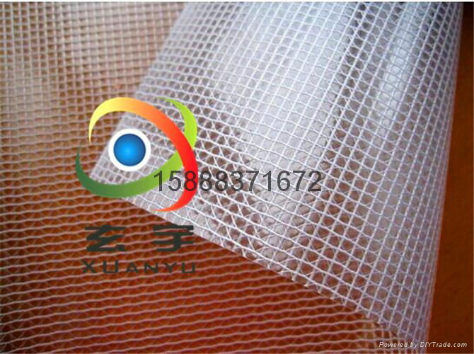 Supply 0.3 thickness is 300 * 300 DPVC transparent grid mesh cloth 