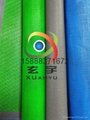 供應出口日本藍色和綠色高強紗割草裙圍裙PVC網格布 3