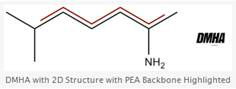 PRE-WORKOUT PUMP DMHA(2-Aminoisoheptane)