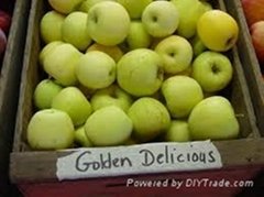 GOLDEN DEICIOUS AND FUJI APPLES