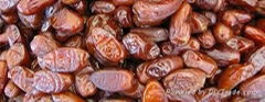 DRIED DATES