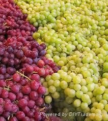 SEEDED AND SEEDLESS GRAPES
