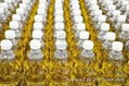 Refined Sunflower oil 1