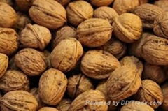 Walnuts