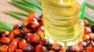 PALM OIL