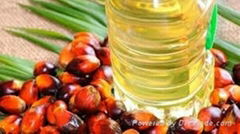 PALM OIL