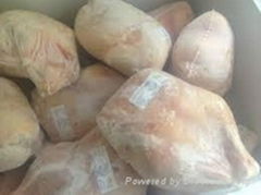 frozen whole chicken ,chicken feet,chicken wings,chicken paws for sale