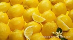 FRESH LEMON