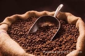 Coffee Beans 2
