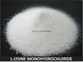 L-LYSINE HCL