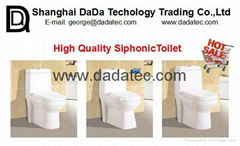 DD234 siphonic one piece toilet