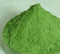 Organic Wheat grass powder