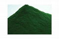 Chlorella powder 1