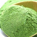 Spinach powder