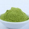 Broccoli Powder 1