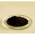 Bilberry extract 1