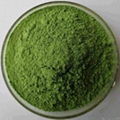 Organic Alfalfa powder