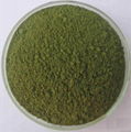 Organic buckwheat grass powder  1