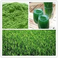 Organic wheat grass juice powder