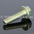 Flange bolts 1