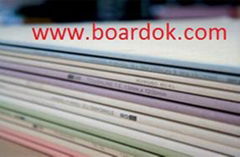 gypsum board