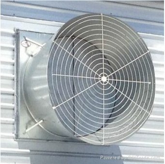 Butterfly Cone Exhaust Fan From China Manufacture