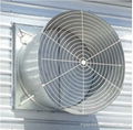 Butterfly Cone Exhaust Fan From China