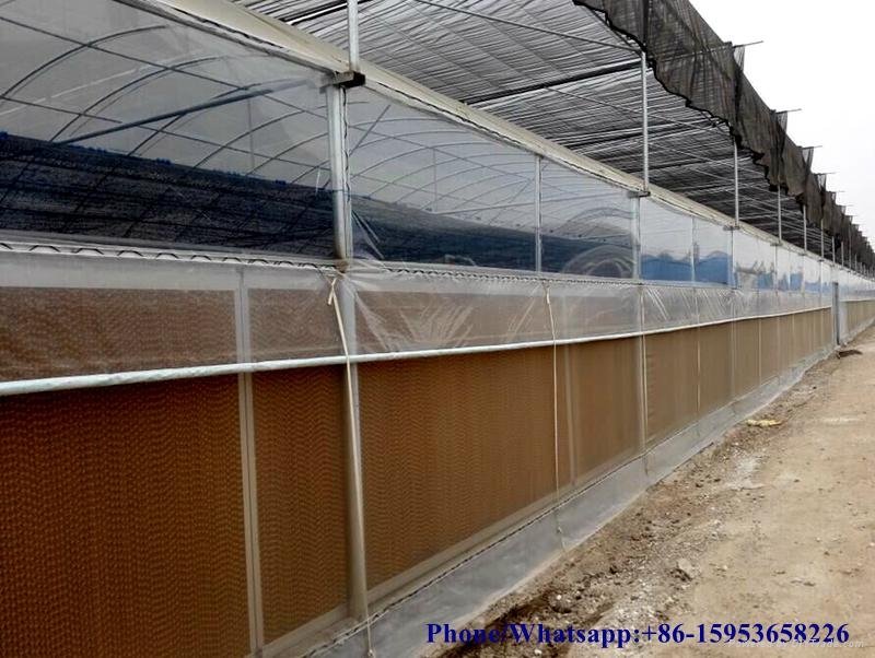 Honeycomb Evaporative Cooling Pad For Poultry Farm House 5
