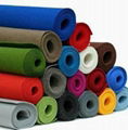 Non Woven Polyester Fabric