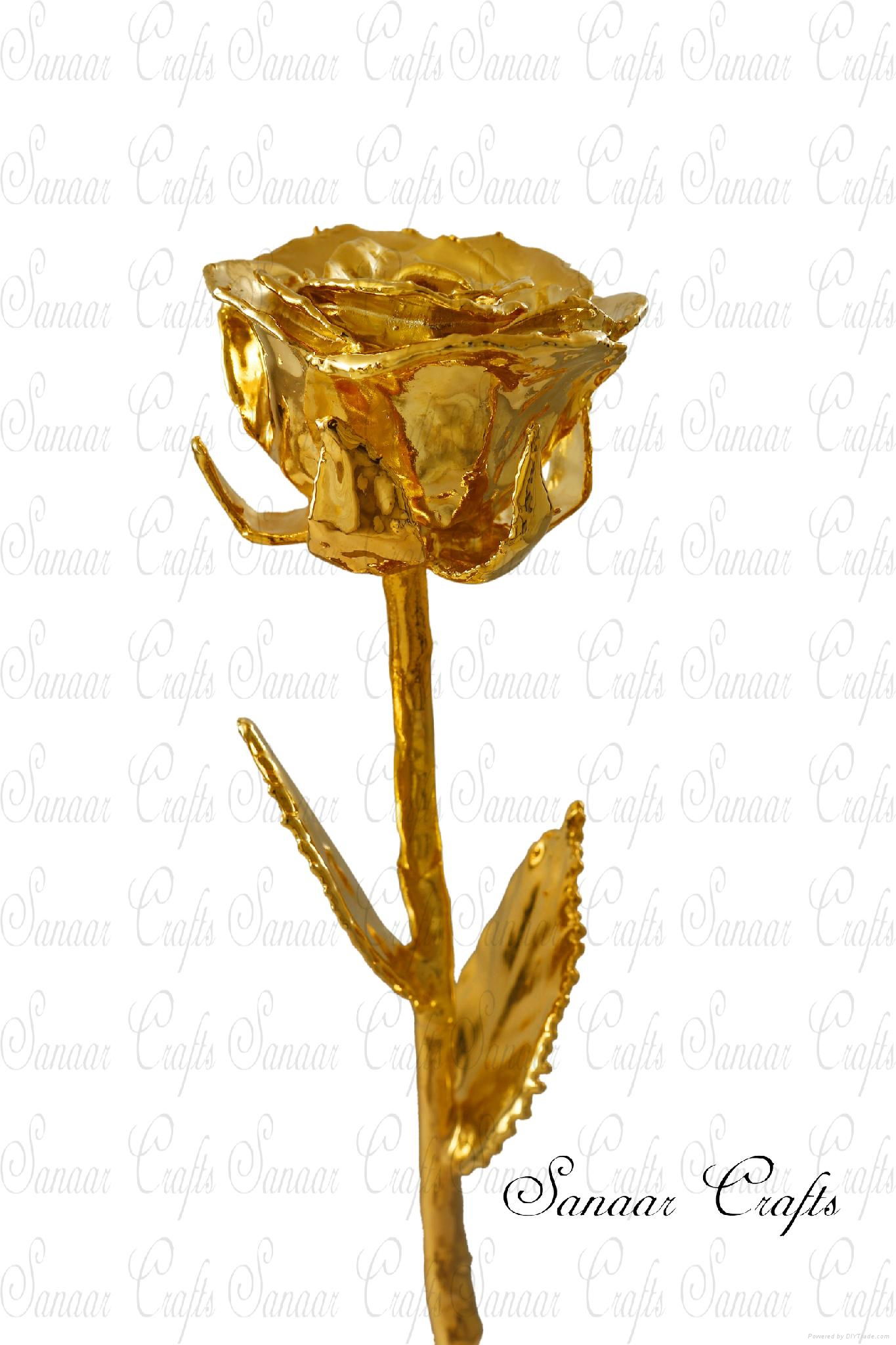 24k Gold Rose