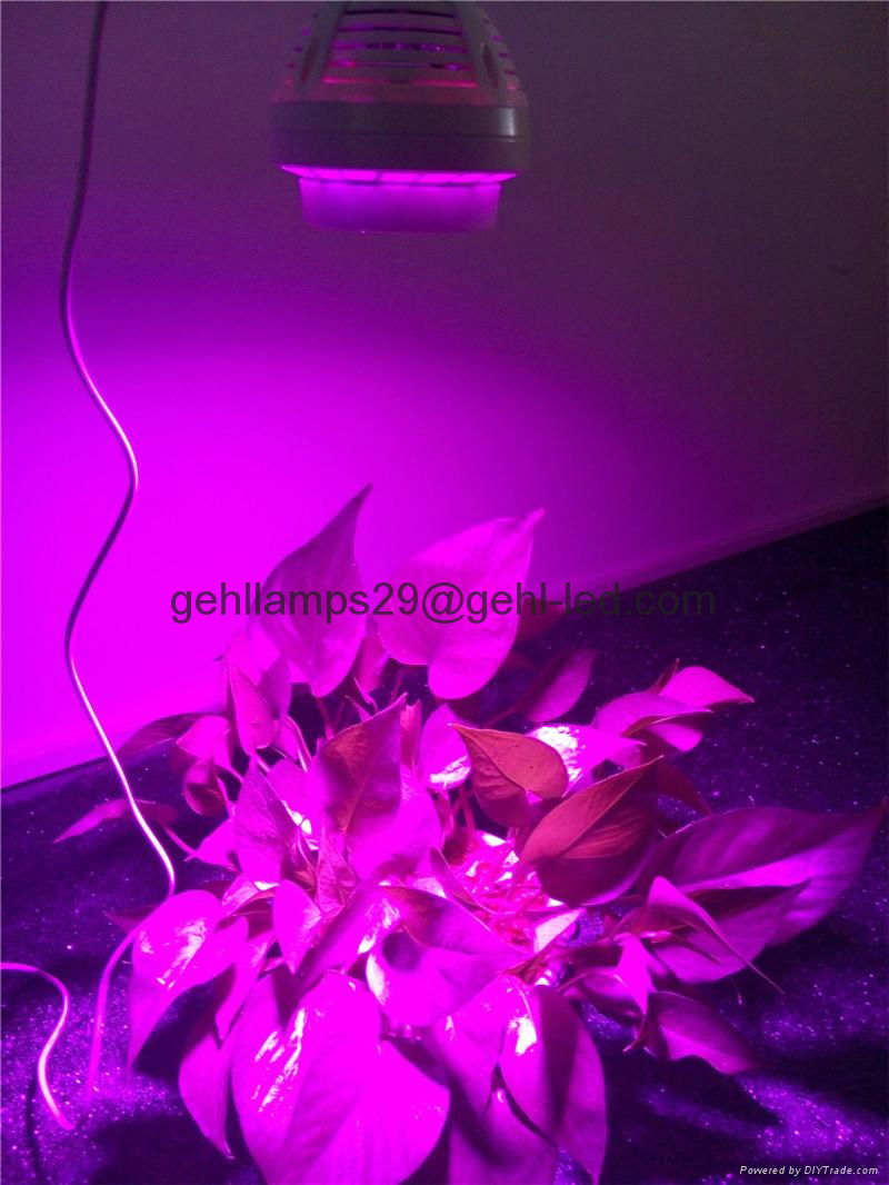 60w COB Par led grow light Full spectrum 380-850nm 5