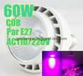 60w COB Par led grow light Full spectrum 380-850nm 1