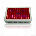 1000W grow led light Full spectrum indoor groing 5