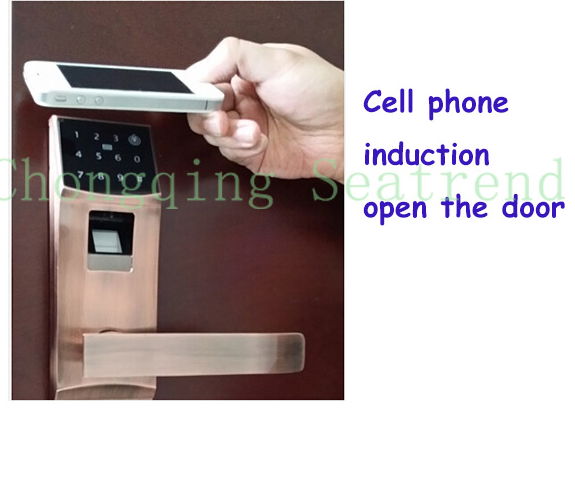 Best Door Locks Electronic Locks For Home Fingerprint Mobile Lock 4