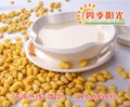 Automatic Soybean Milk Stone Machine/ Electric stone/ Stone boiling machine 4